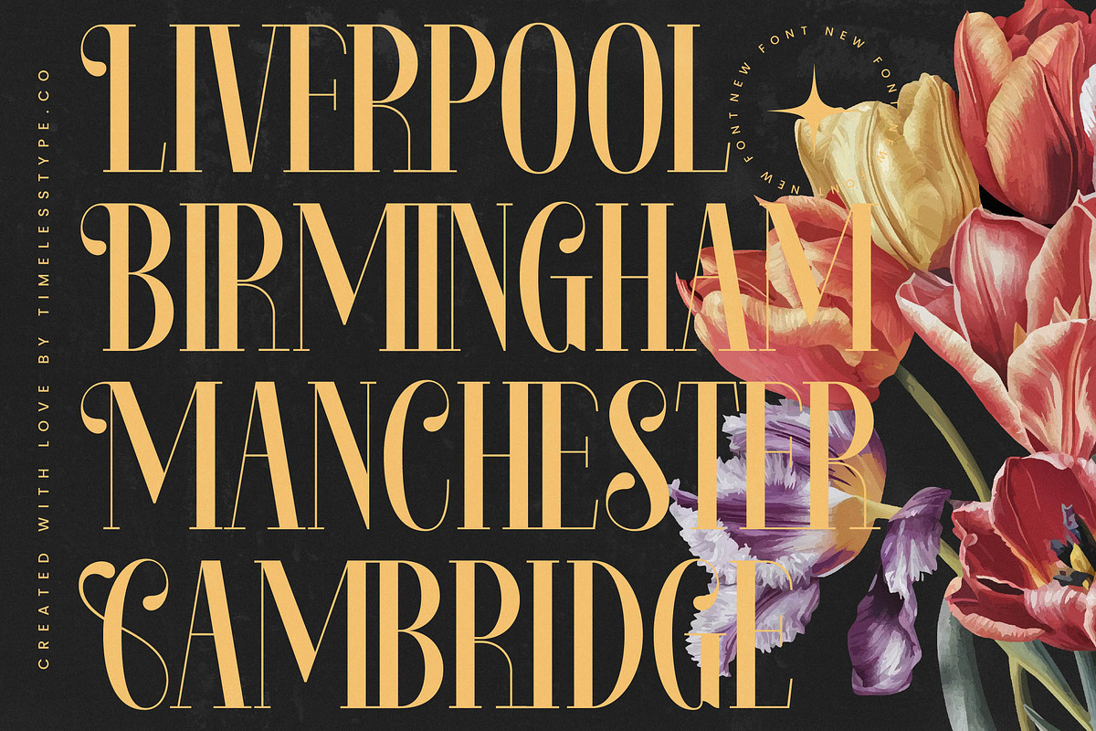 Rosejacn Modern Display Serif, a Serif Font by timelesstype.co (Photo 5 of 20)