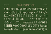CS Aquary – Fantasy Font, a Serif Font by Craft Supply Co. (Thumbnail 8 of 8)