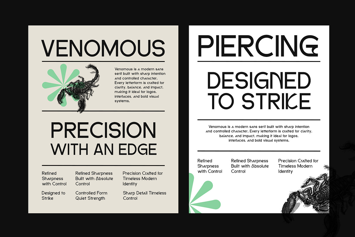 DV Emore, a Sans Serif Font by Damelev (Photo 5 of 13)