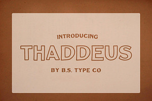 BS Thaddeus | Vintage Font Family, a Slab Serif Font by BS Type Co.