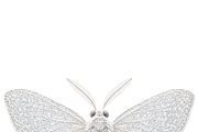 ETARA Winter Ritual Kit, an Object Graphic by ETARA by Mea Hau (Thumbnail 46 of 79)