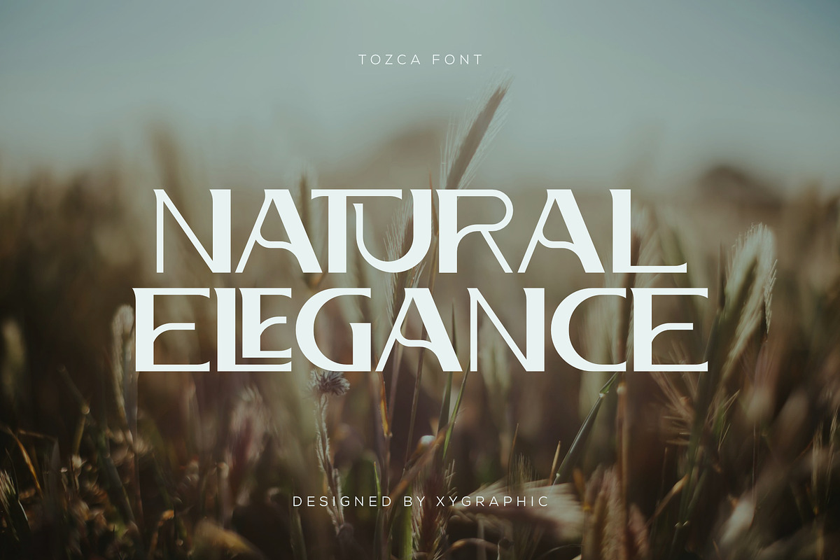 Tozca - Simple Luxury Typeface, a Serif Font by xyGraphic (Photo 6 of 10)