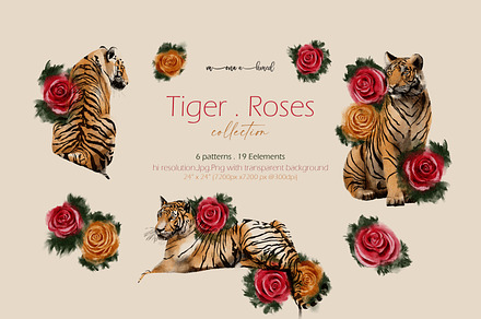 Tigers & Roses watercolor collection