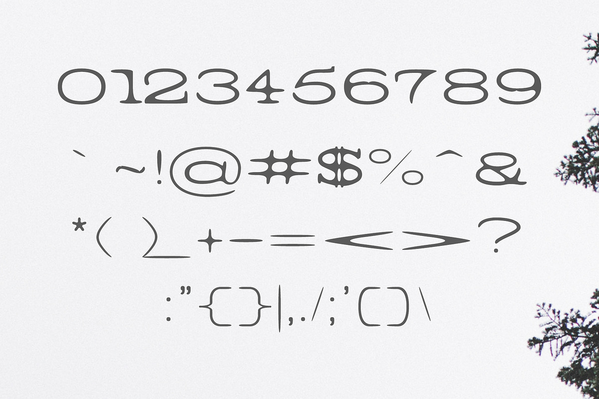Barric A Serif Font Family preview 3