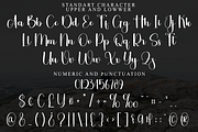 Winter Dancing, a Handwritten Font by FreshTypeINK (Thumbnail 7 of 8)