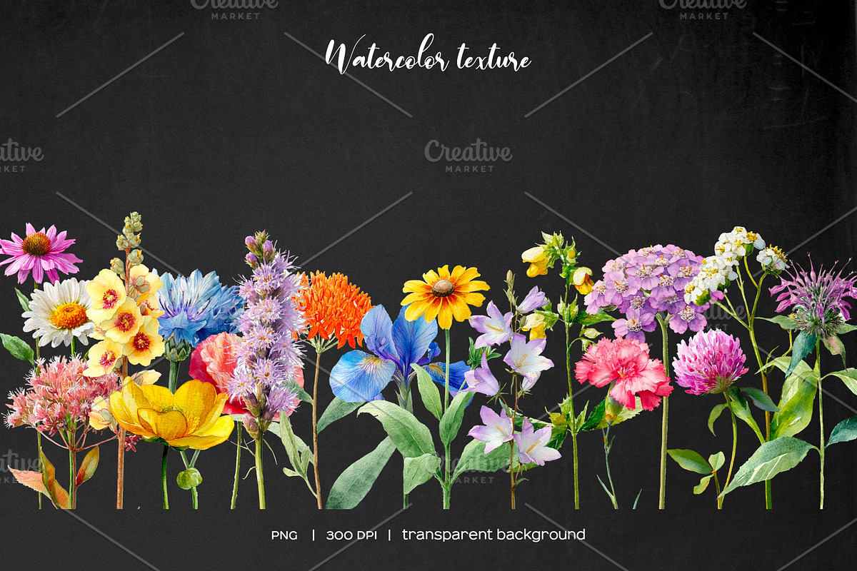 Watercolor wildflower meadow clipart, an Object Illustration by Art and Funny (Photo 4 of 4)