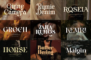 100+ Premium Serif Font Bundle, a Serif Font by Graphicxell (Thumbnail 5 of 12)