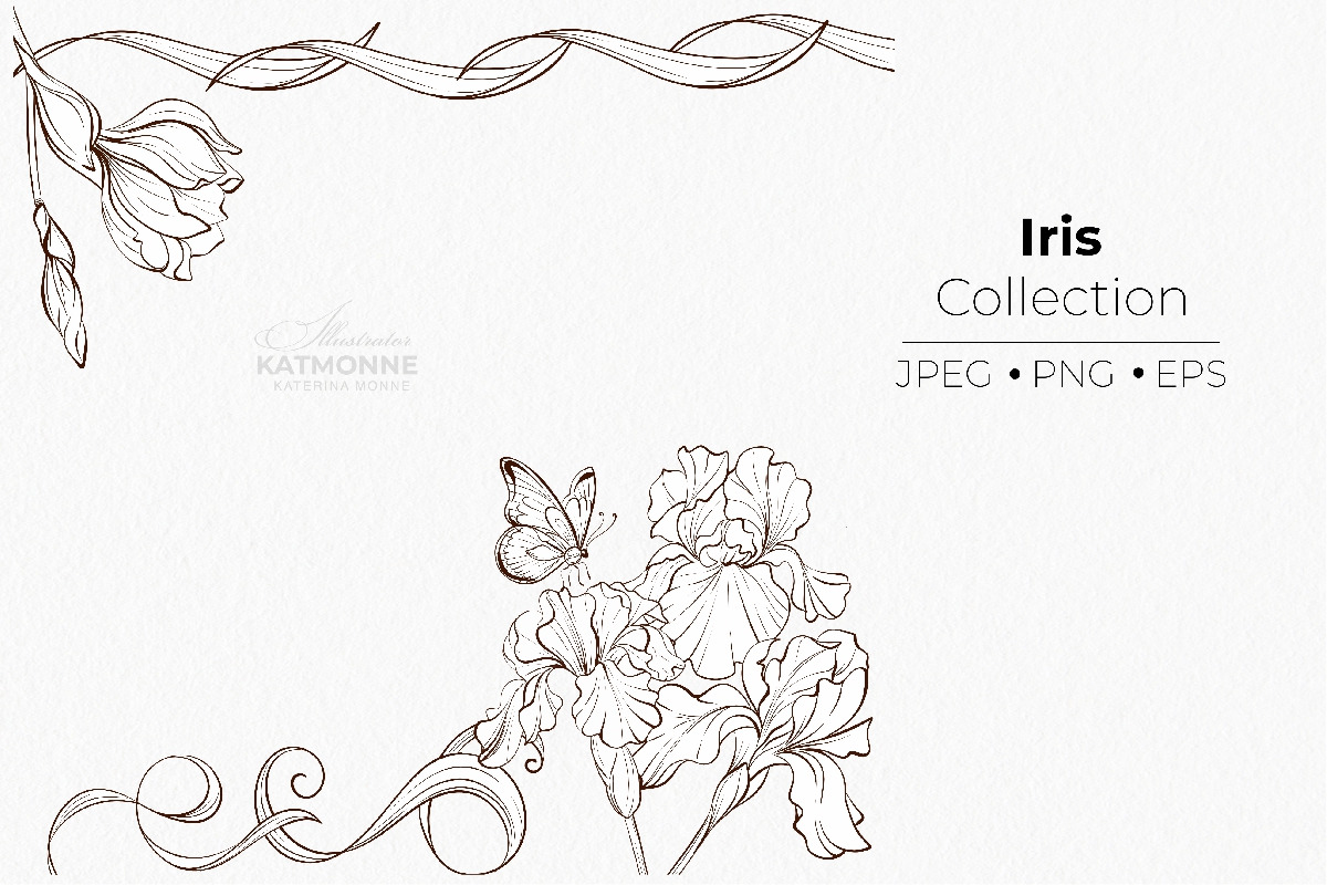 Iris Botanical Line Floral Vector, a Decorative Illustration by katmonne (Photo 13 of 14)
