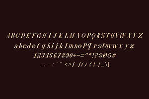 Fontany - Modern Typeface