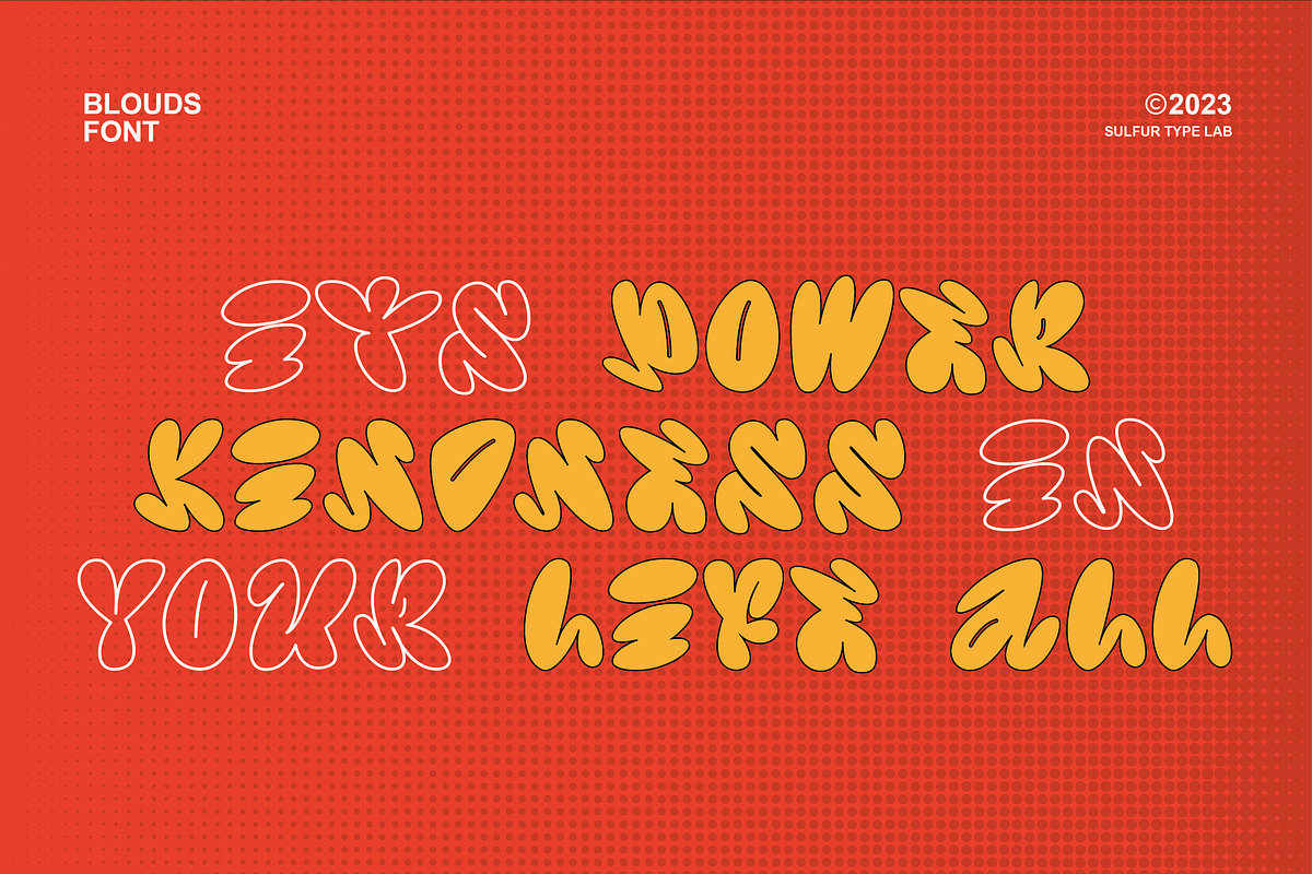 STL Blouds, a Handwritten Font by letrasdegs (Photo 2 of 7)