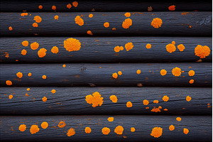 A close-up view of weathered wooden, a Background Photo by ZinetroN