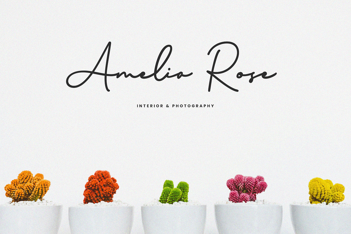 Brinley - Modern Handwritten Font, a Script Font by Flawless And Co (Photo 5 of 10)