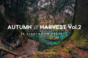 Autumn & Harvest LR Presets Vol.2
