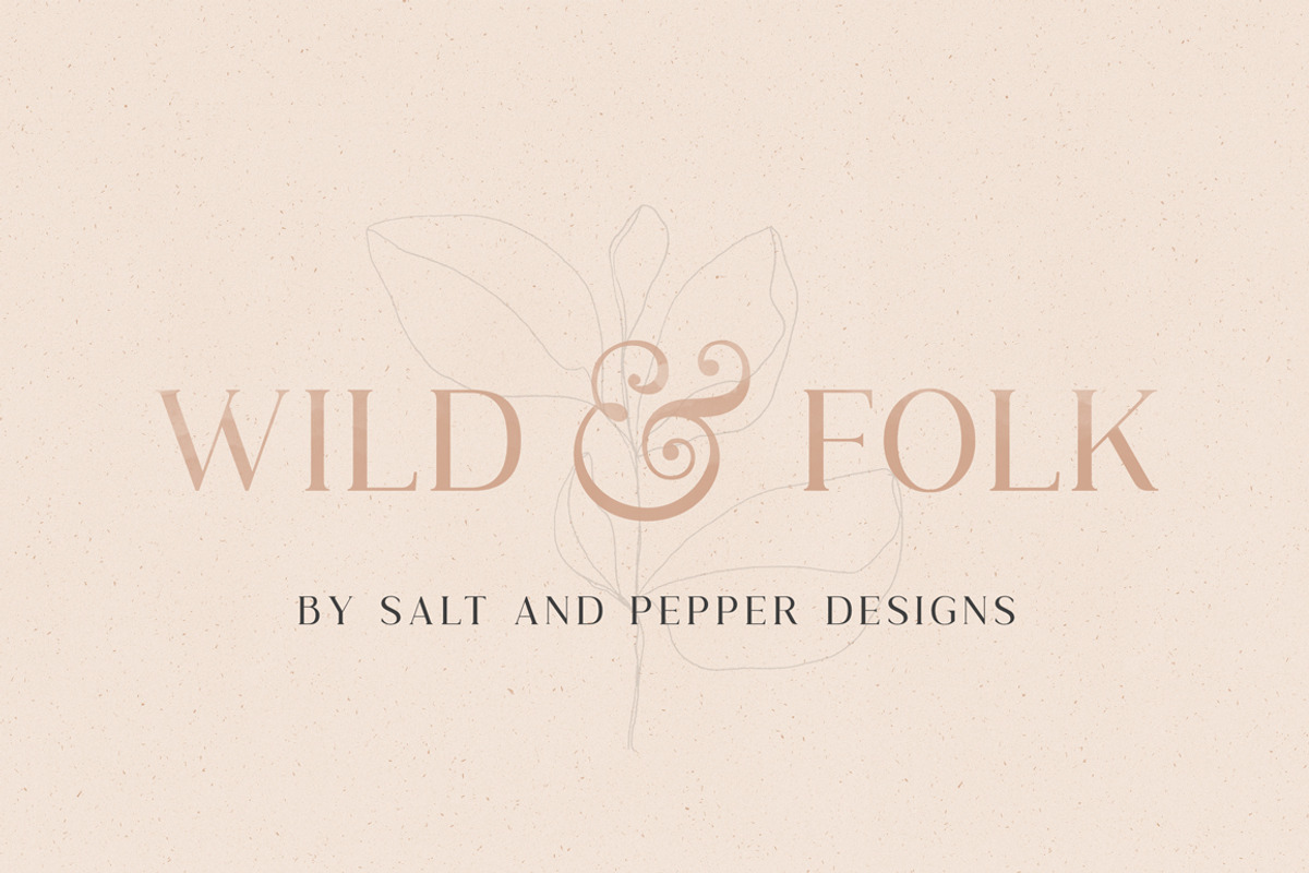 Wild & Folk Serif Font