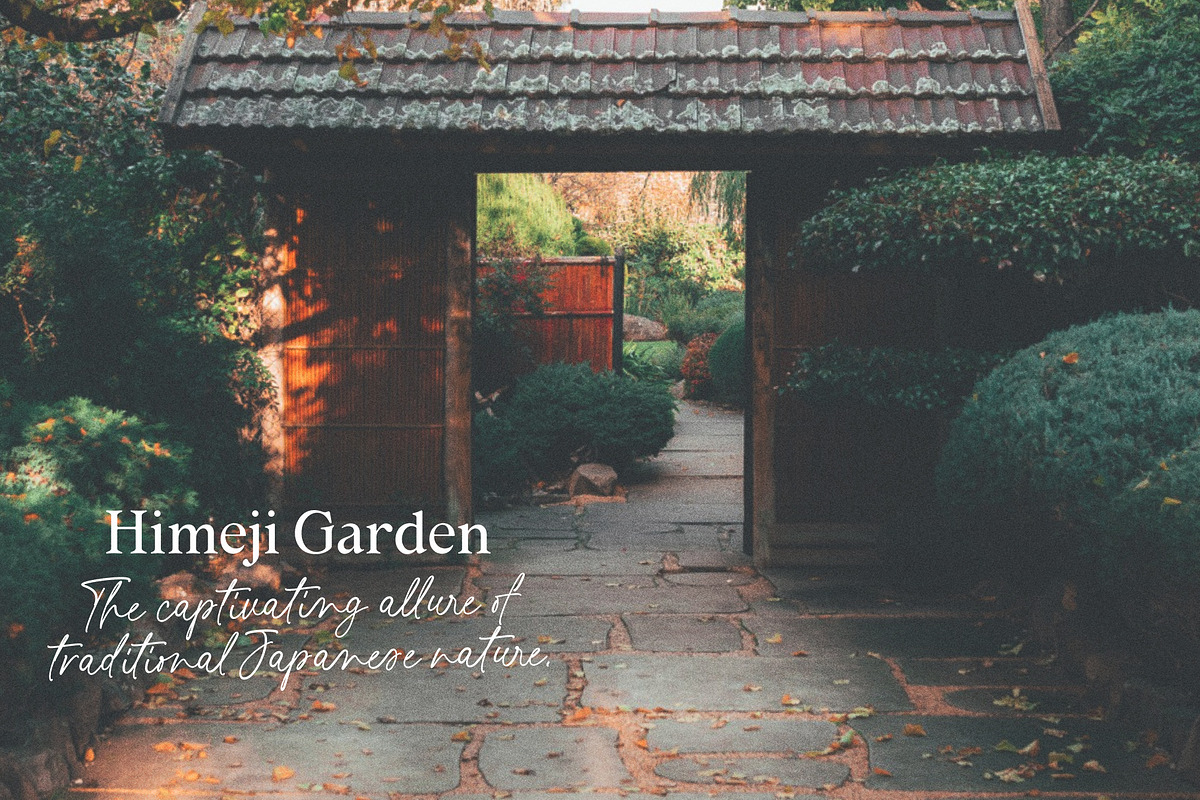 50% Montpier - Font Duo, a Script Font by Four Lines Std. (Photo 8 of 12)