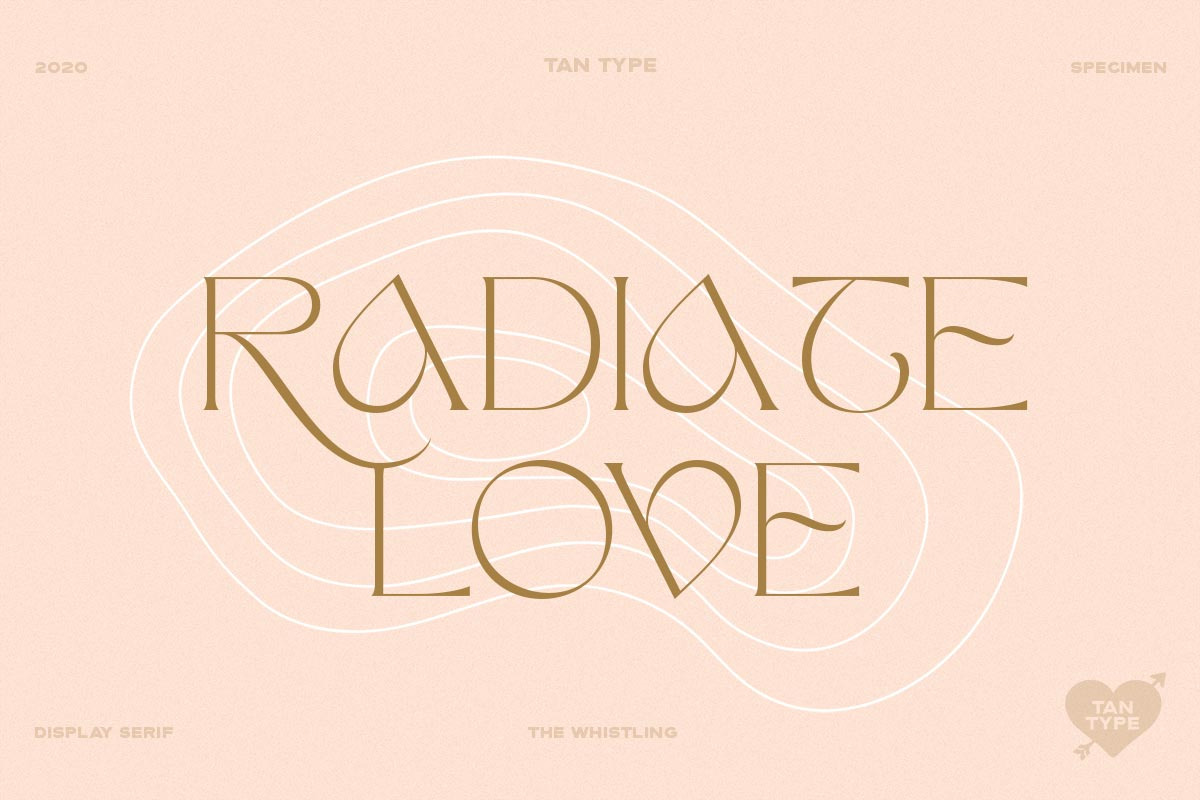 TAN - The Whistling, a Serif Font by TanType (Photo 20 of 35)