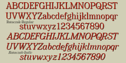 Rataczak, a Serif Font by Ingrimayne Type (Thumbnail 8 of 10)