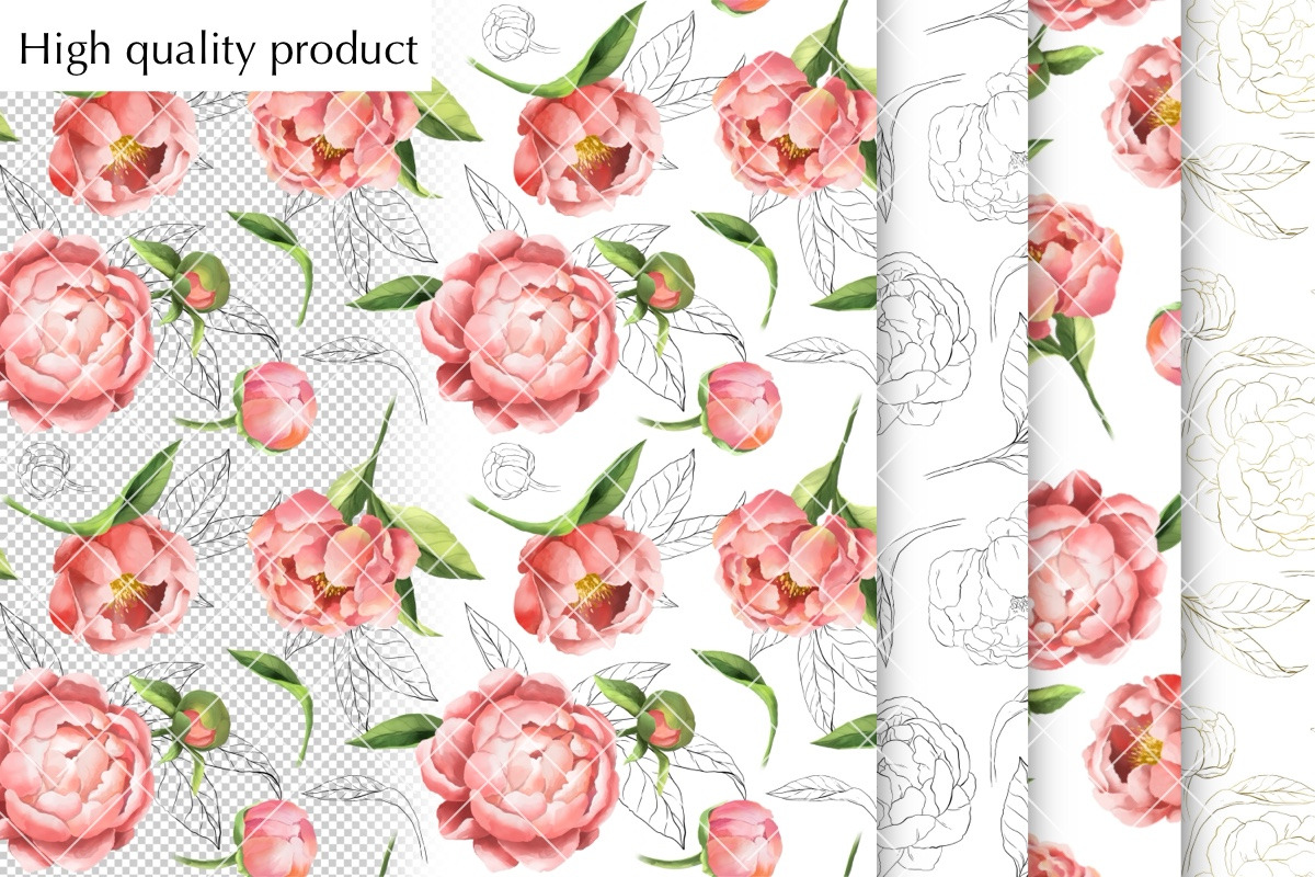 Peonies. Beautiful flowers, a Decorative Illustration by NastyaKim (Photo 6 of 6)