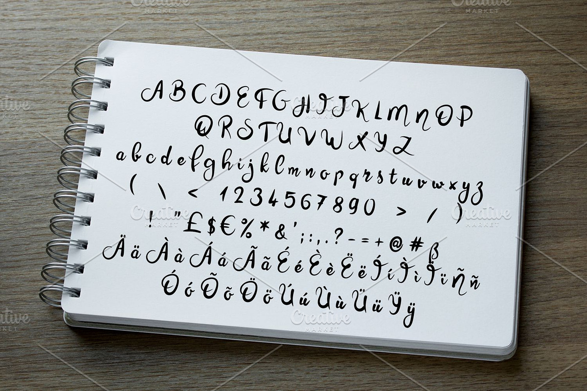 Cherlys, a Script Font by Digital Typeface Studio (Photo 2 of 5)
