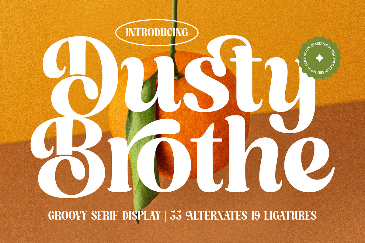 Dusty Brothe Groovy Serif Display, a Serif Font by timelesstype.co (Photo 1 of 20)