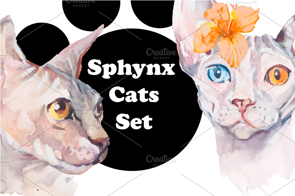Watercolor Sphynx Cats Set, an Illustration by Elizaveta (Photo 1 of 5)