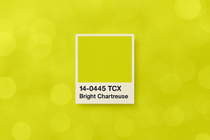 Color swatch bright chartreuse on li, a Photo by Dvoevnore photos