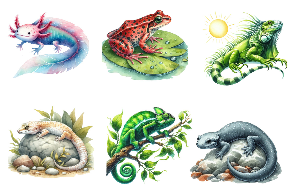Watercolor Reptile Clipart Amphibian, an Illustration by CreationArt (Photo 4 of 5)