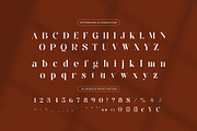 Runiga – Elegant Stylish Serif, a Serif Font by BrandSemut (Thumbnail 7 of 10)