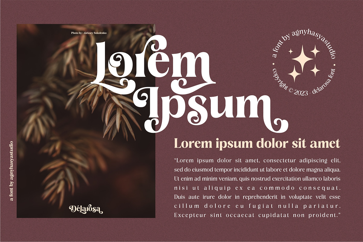Delarosa - A Decorative Serif, a Serif Font by agnyhasyastudio (Photo 11 of 17)