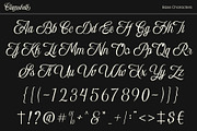Clamshell - Modern Calligraphy, a Script Font by roomspace creative lab (Thumbnail 15 of 15)