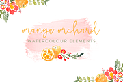 Orange Orchard Watercolor Elements, an Illustration by Susan Brand Design (Thumbnail 1 of 2)