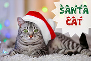 Christmas Santa Hat Display Font, a Sans Serif Font by Adalin Shop (Thumbnail 7 of 7)
