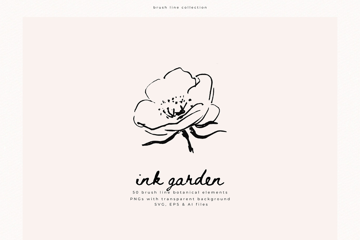 Ink Garden - 50 Brush Line Elements, a Decorative Illustration by PeDe Designs (Photo 6 of 7)