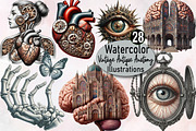 Vintage Antique Anatomy Clipart Bund, an Illustration by SVGArt (Thumbnail 1 of 8)