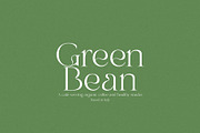 Mango Garden - Elegant Serif, a Serif Font by Misha Sova (Thumbnail 4 of 11)