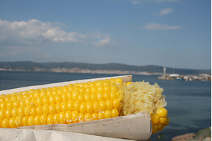 Fresh yellow corn cob with sea and, a Food & Drink Photo by Lermont51