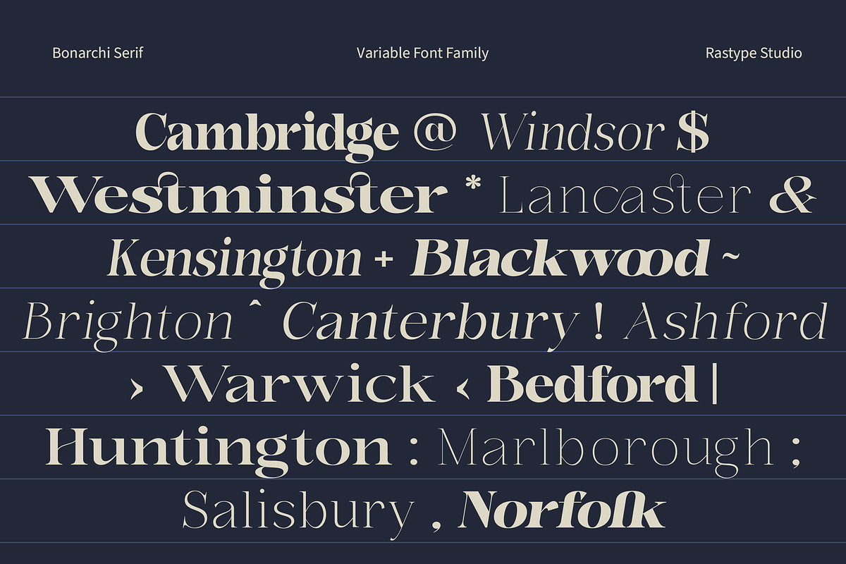 Bonarchi - Family Font, a Serif Font by Rastype (Photo 2 of 10)