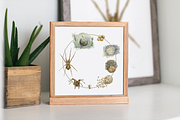 Spider Life Cycle Clip Arts & Print, an Illustration by Tati Bordiu (Thumbnail 2 of 4)