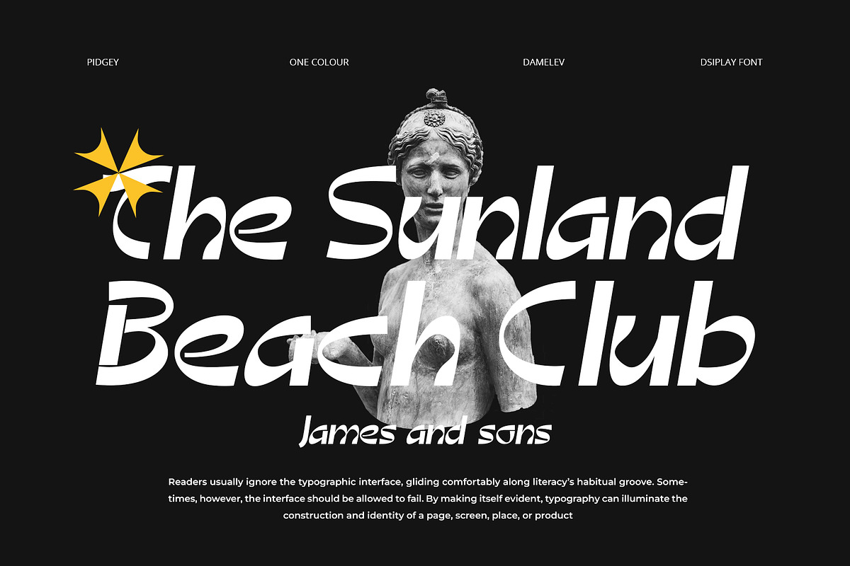 Pidgey, a Sans Serif Font by Damelev (Photo 4 of 9)