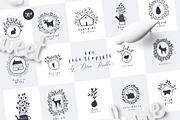 ECO LOGO TEMPLATES, a Branding & Logo Template by Luna Dreams (Thumbnail 1 of 15)