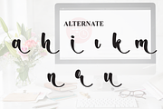 Digital Planner | Script Font, a Handwritten Font by Scratchones (Thumbnail 8 of 9)