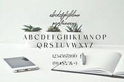 Havence | Elegant & Branded Font, a Sans Serif Font by Artdez (Thumbnail 2 of 3)