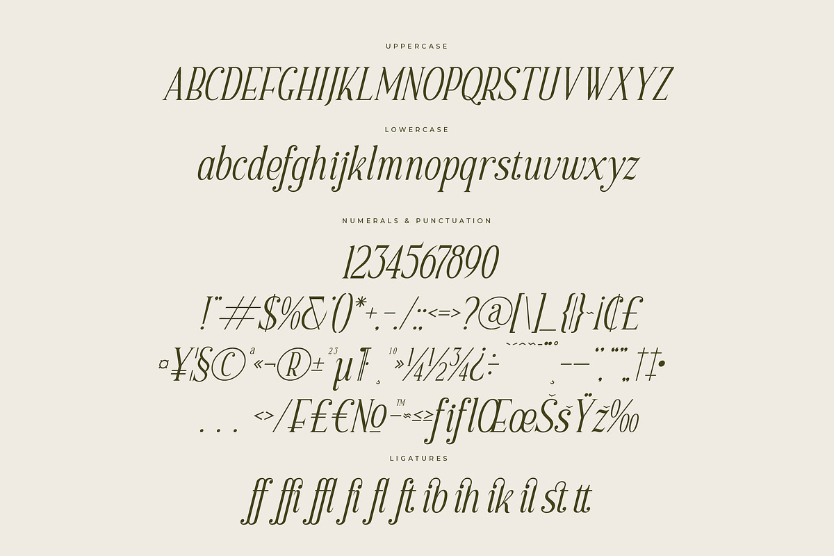 Scarlett Quistan Modern Serif Font, a Serif Font by Letterena Studios (Photo 14 of 15)