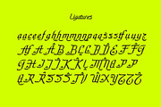 Zafira - Arabic Style Typeface, a Script Font by HipFonts (Thumbnail 10 of 12)