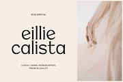 Bridgest, a Serif Font by Attract Studio (Thumbnail 4 of 17)
