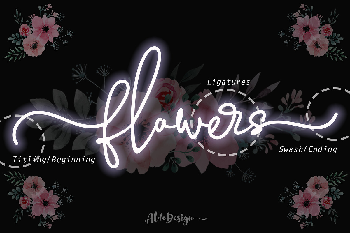 Enthusiast Behavior - Stylish Font preview 8