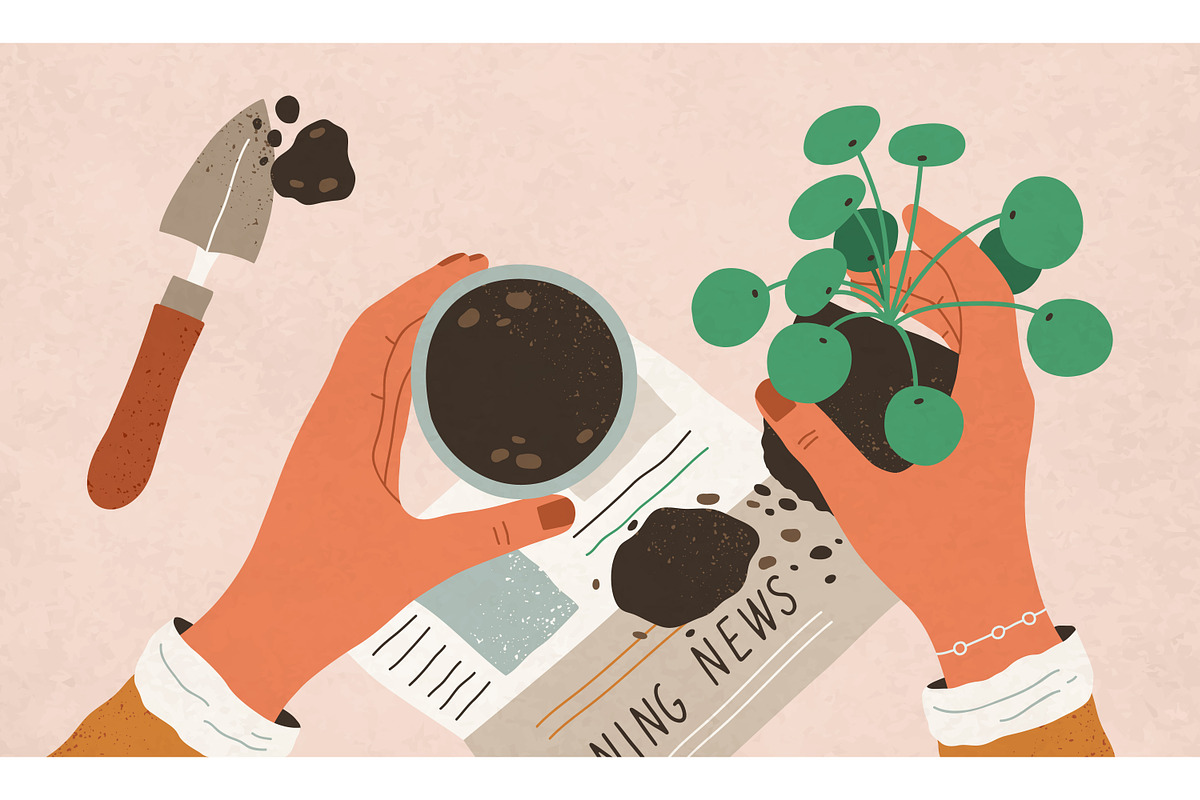 Process of house plant transplanting, an Object Illustration by Good Studio (Photo 1 of 3)