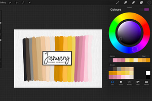 New Year Procreate Color Palette