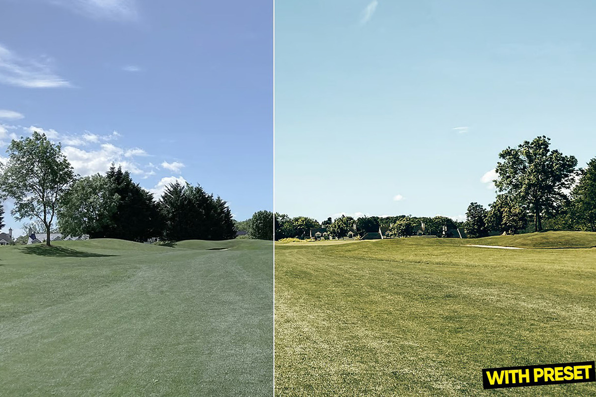 Soft Green Presets for Lightroom, a Preset Add-On by Hubzway (Photo 5 of 5)
