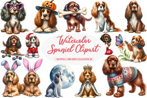 Watercolor Spaniel Clipart Bundle, an Illustration by Daily.Designs